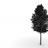 treeeeeeeeee