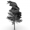 treeeeeeeeeewater