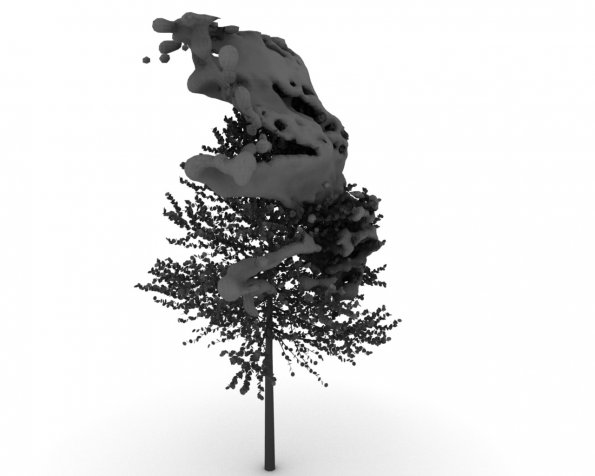 treeeeeeeeeewater