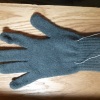 Wire Glove