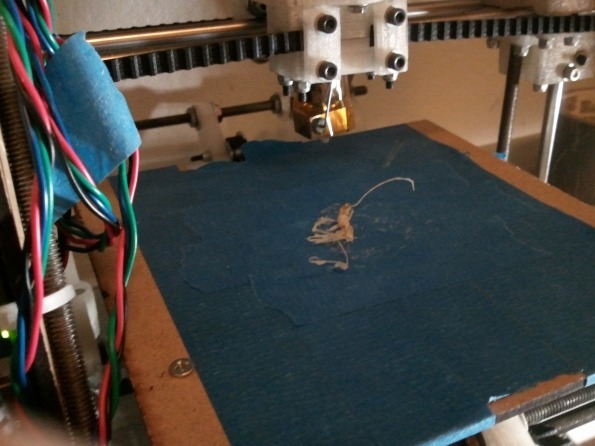 Failed attempt #0195x2858